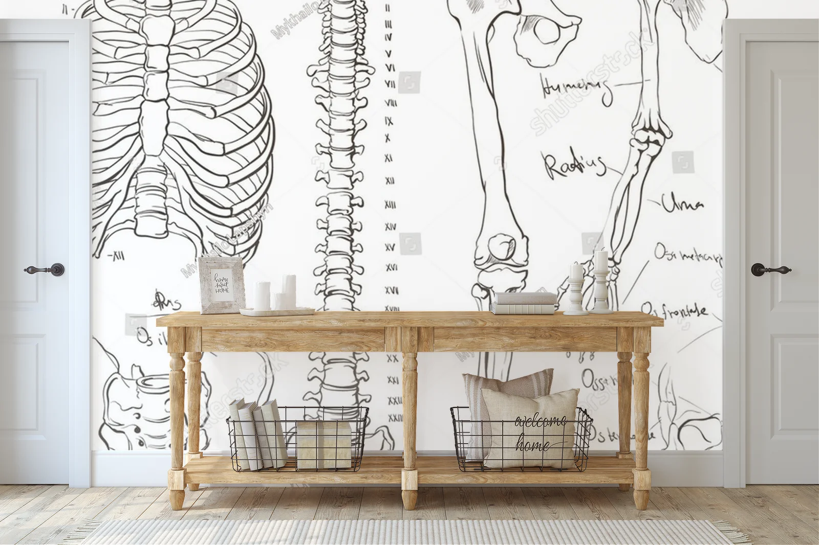 Anatomia ciała w delikatnych odcieniach bieli