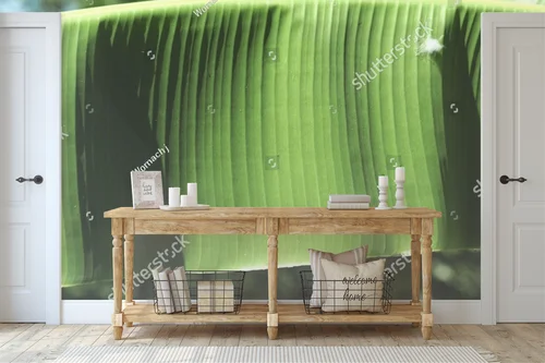 Zielone liście bananowca w harmonijnych odcieniach