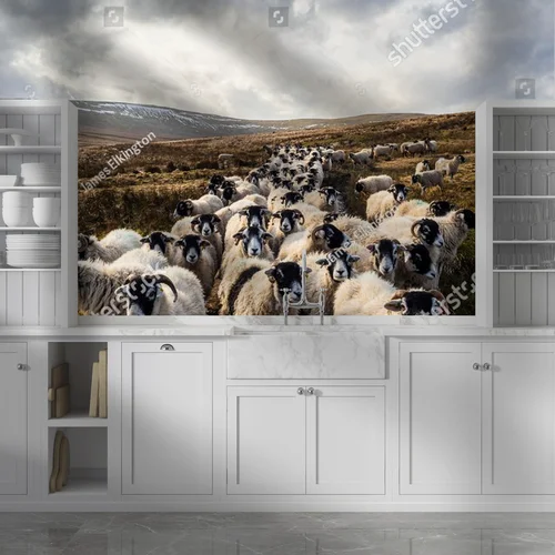 Fascynujący krajobraz z owcami w Yorkshire Dales