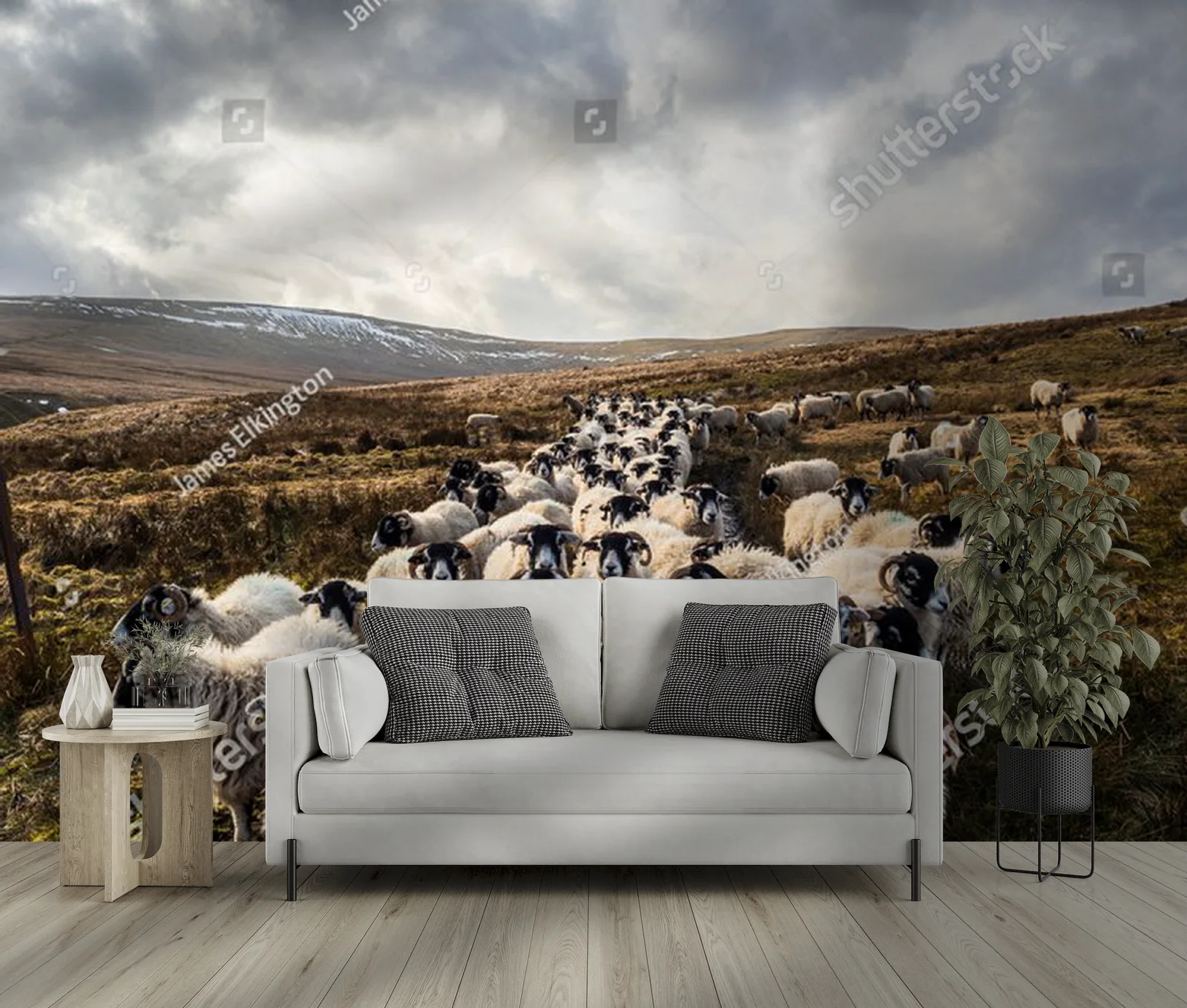 Fascynujący krajobraz z owcami w Yorkshire Dales