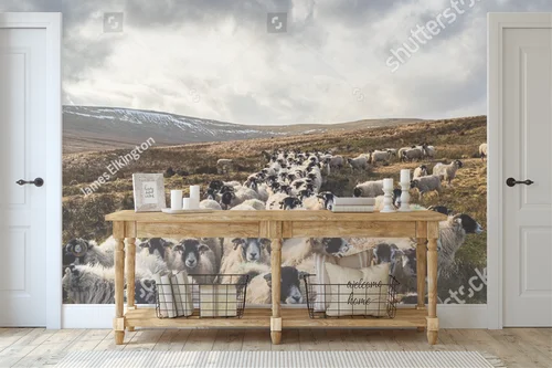 Fascynujący krajobraz z owcami w Yorkshire Dales