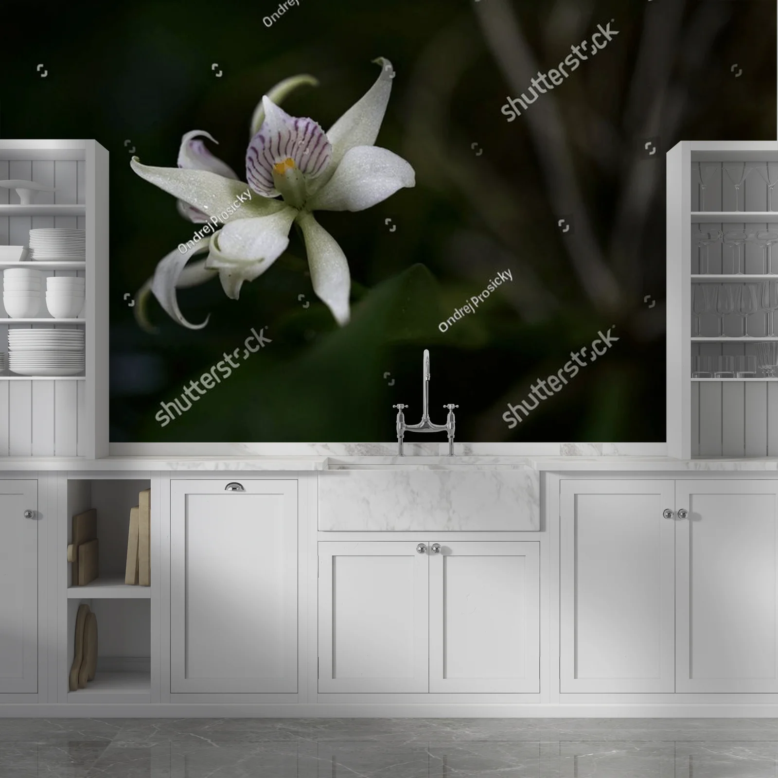 Urok dzikiej orchidei z tropikalnych lasów