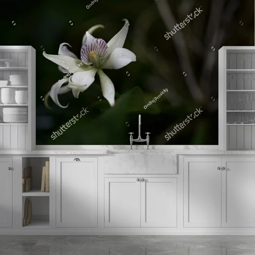 Urok dzikiej orchidei z tropikalnych lasów