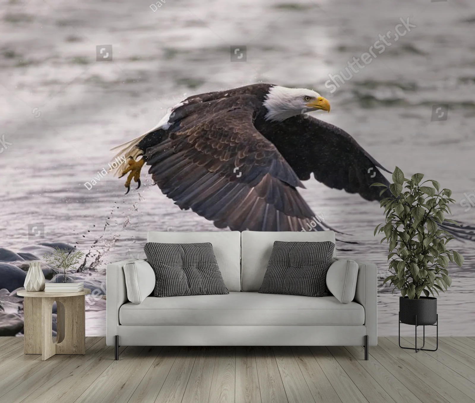 Bald Eagle nad brzegiem rzeki – majestatyczne piękno