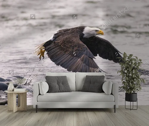 Bald Eagle nad brzegiem rzeki – majestatyczne piękno