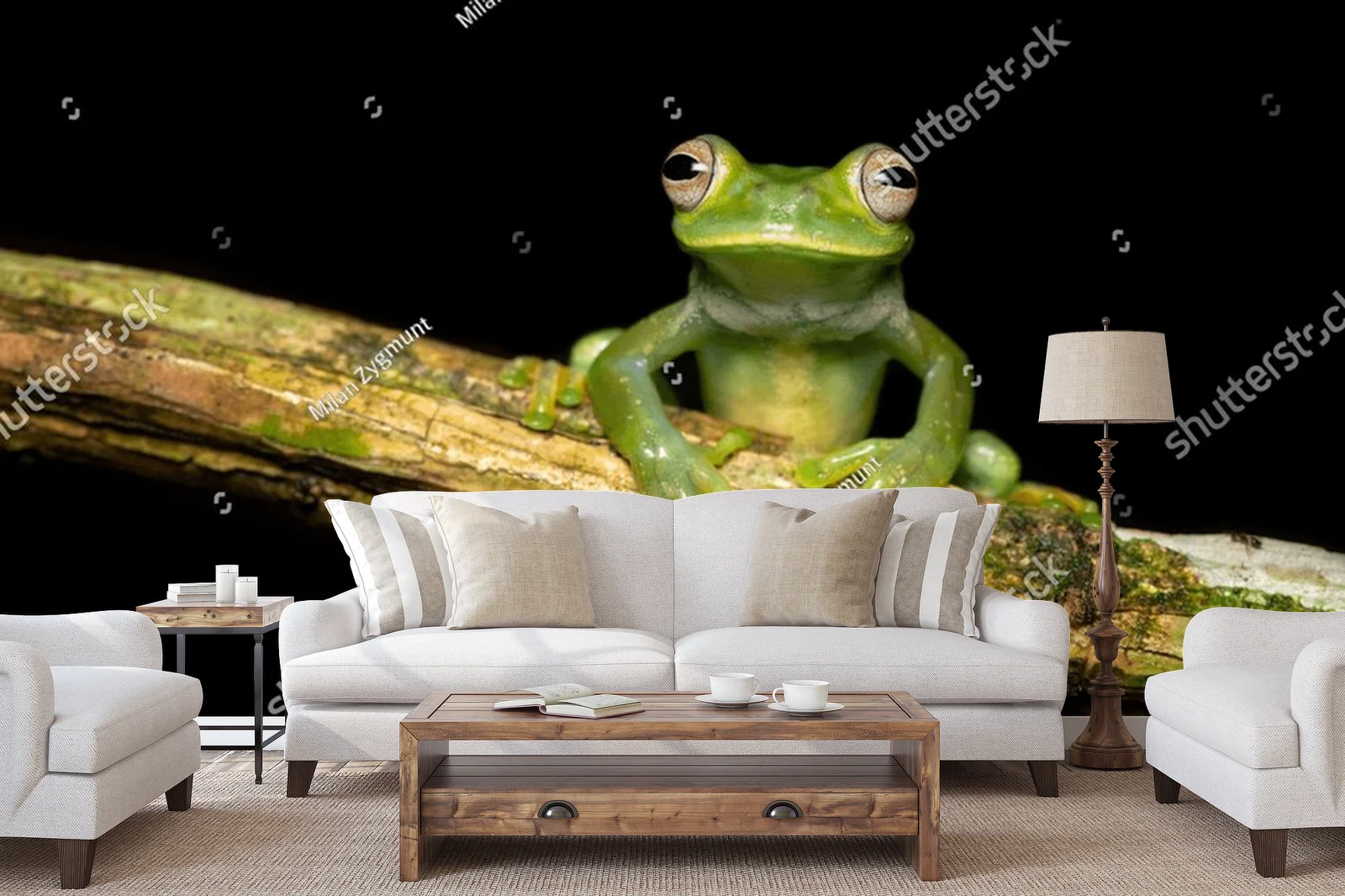 Czarująca egzotyka: palmer's tree frog w ciemnych tonach