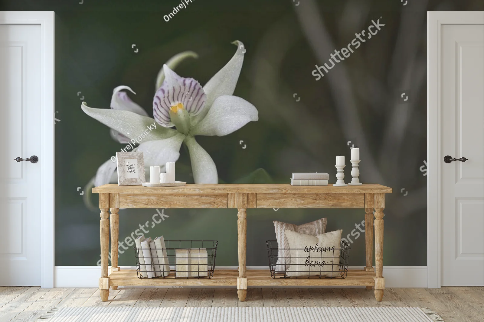 Urok dzikiej orchidei z tropikalnych lasów