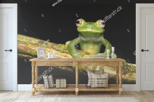 Czarująca egzotyka: palmer's tree frog w ciemnych tonach