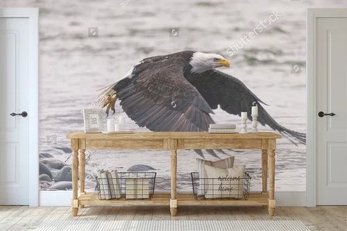 Bald Eagle nad brzegiem rzeki – majestatyczne piękno