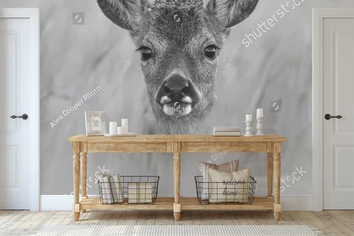 Urok leśnego stwora w monochromatycznej odsłonie