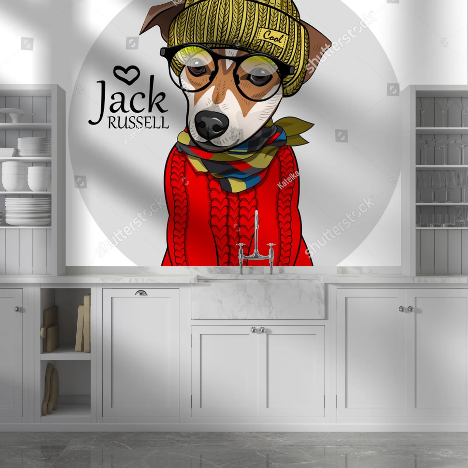 Stylowy Jack Russell w modnym odzieniu