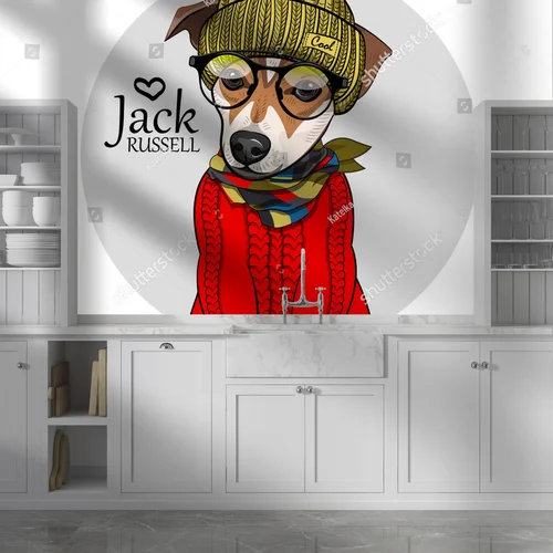 Stylowy Jack Russell w modnym odzieniu