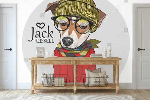 Stylowy Jack Russell w modnym odzieniu