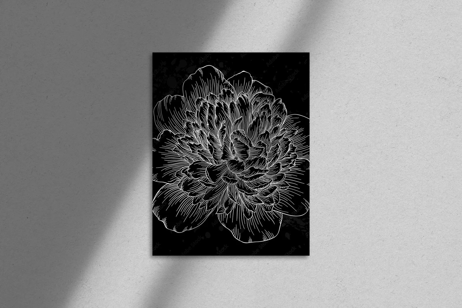 Elegancka czarno-biała peonia z konturami
