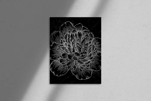Elegancka czarno-biała peonia z konturami
