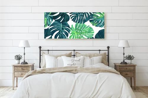 Egzotyczna zieleń palm monstery na tle nocy