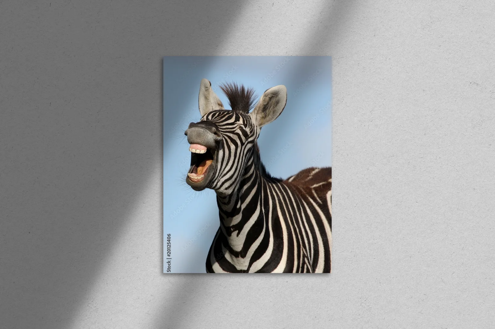 Wesoła zebra w pastelowym błękicie