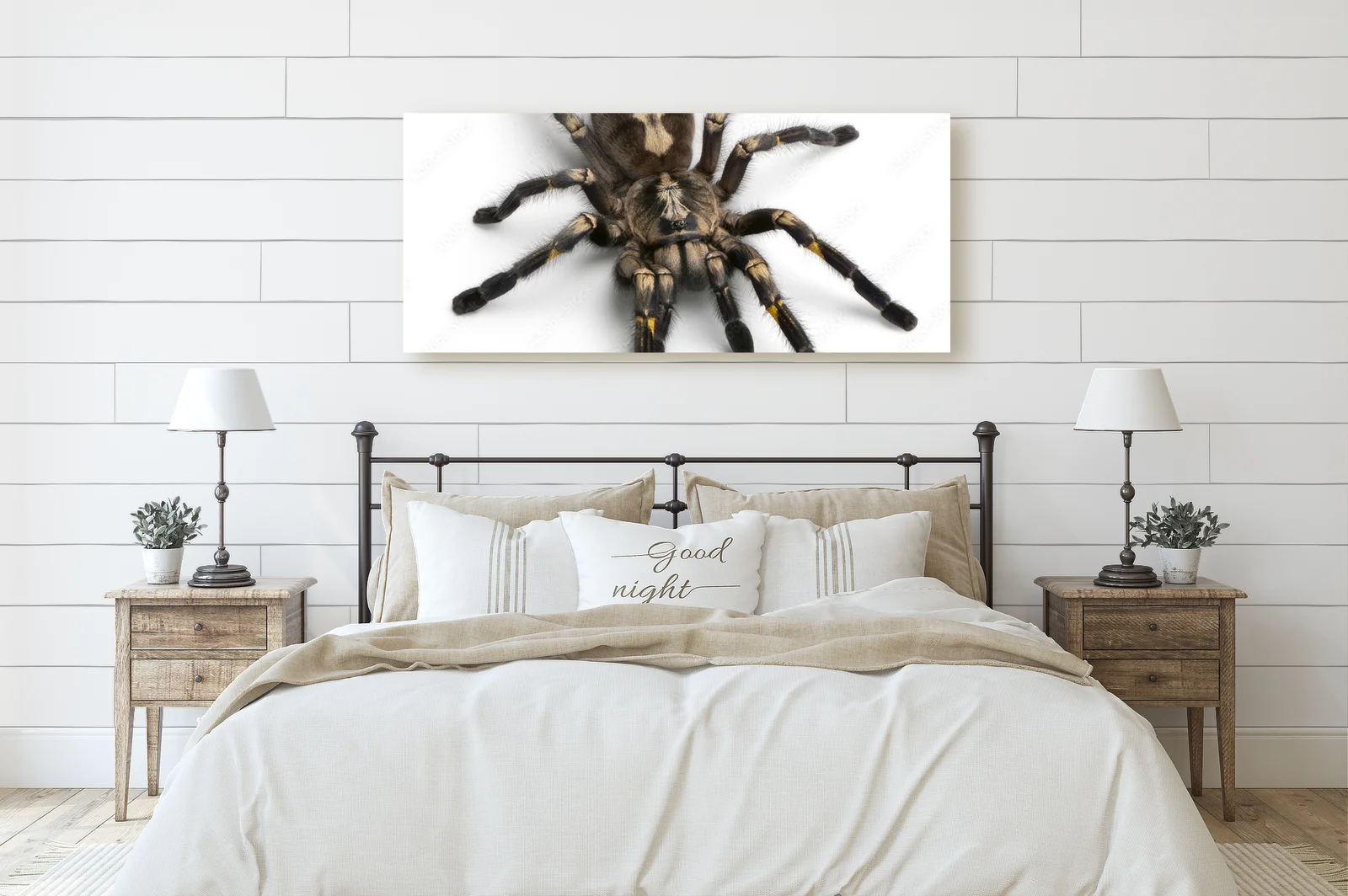 Niezwykły świat tarantuli w białej przestrzeni