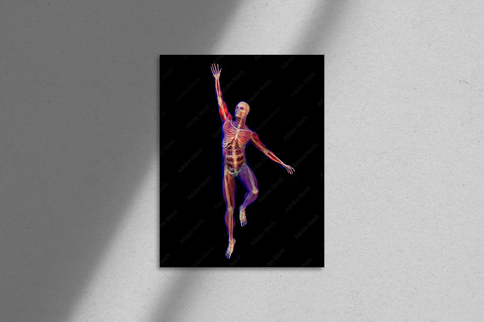 Anatomiczna grafika w głębokiej czerni
