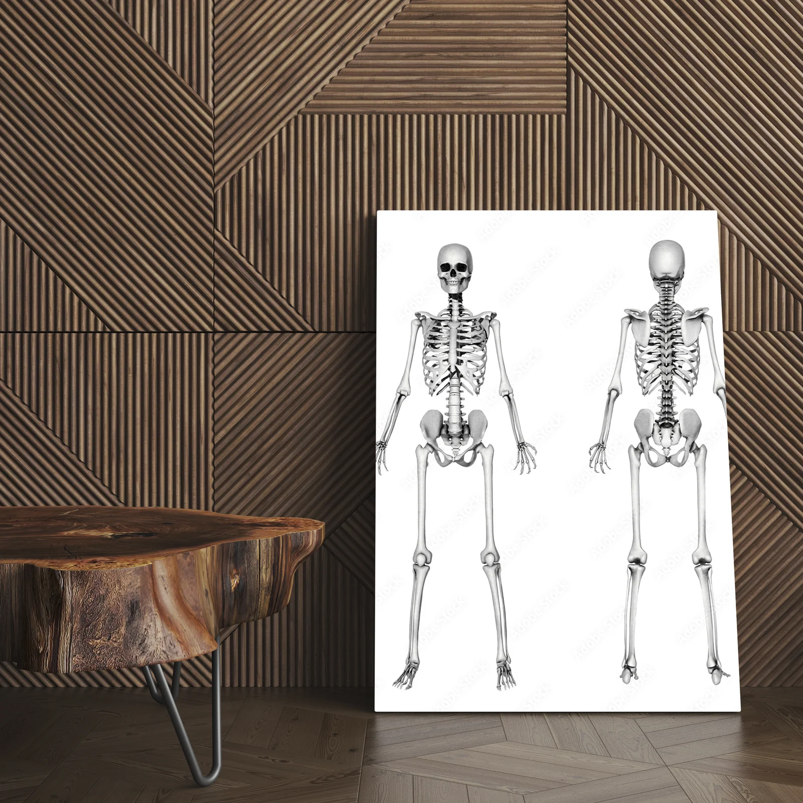 Harmonia bieli i detali w rysunku anatomicznym