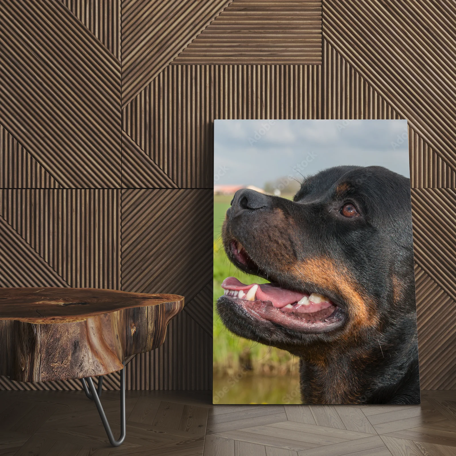 Energetyczny portret rottweilera w naturalnych tonach