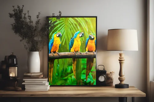 Radosne macaw w słonecznych barwach