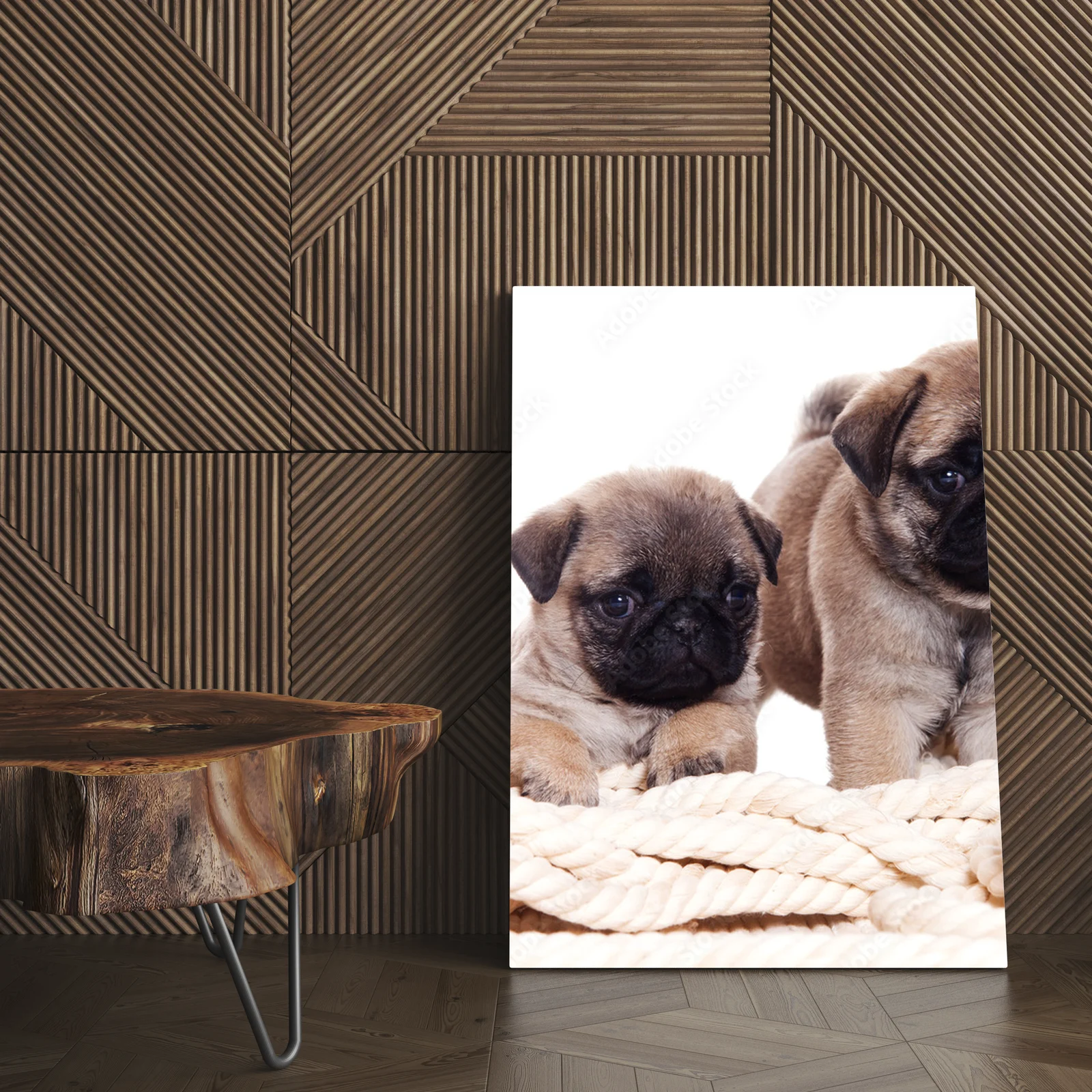 Uroczy Pug w harmonii bieli