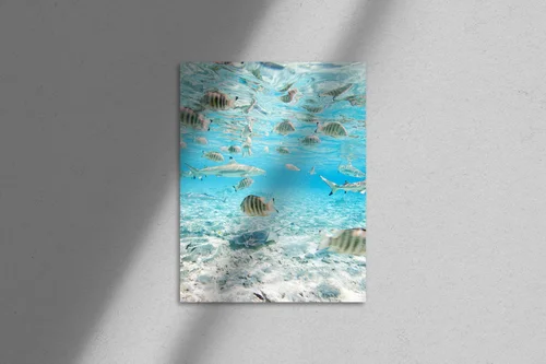 Egzotyczna głębia oceanu w niebieskich odcieniach