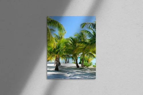 Tropikalna harmonijność palm na plaży
