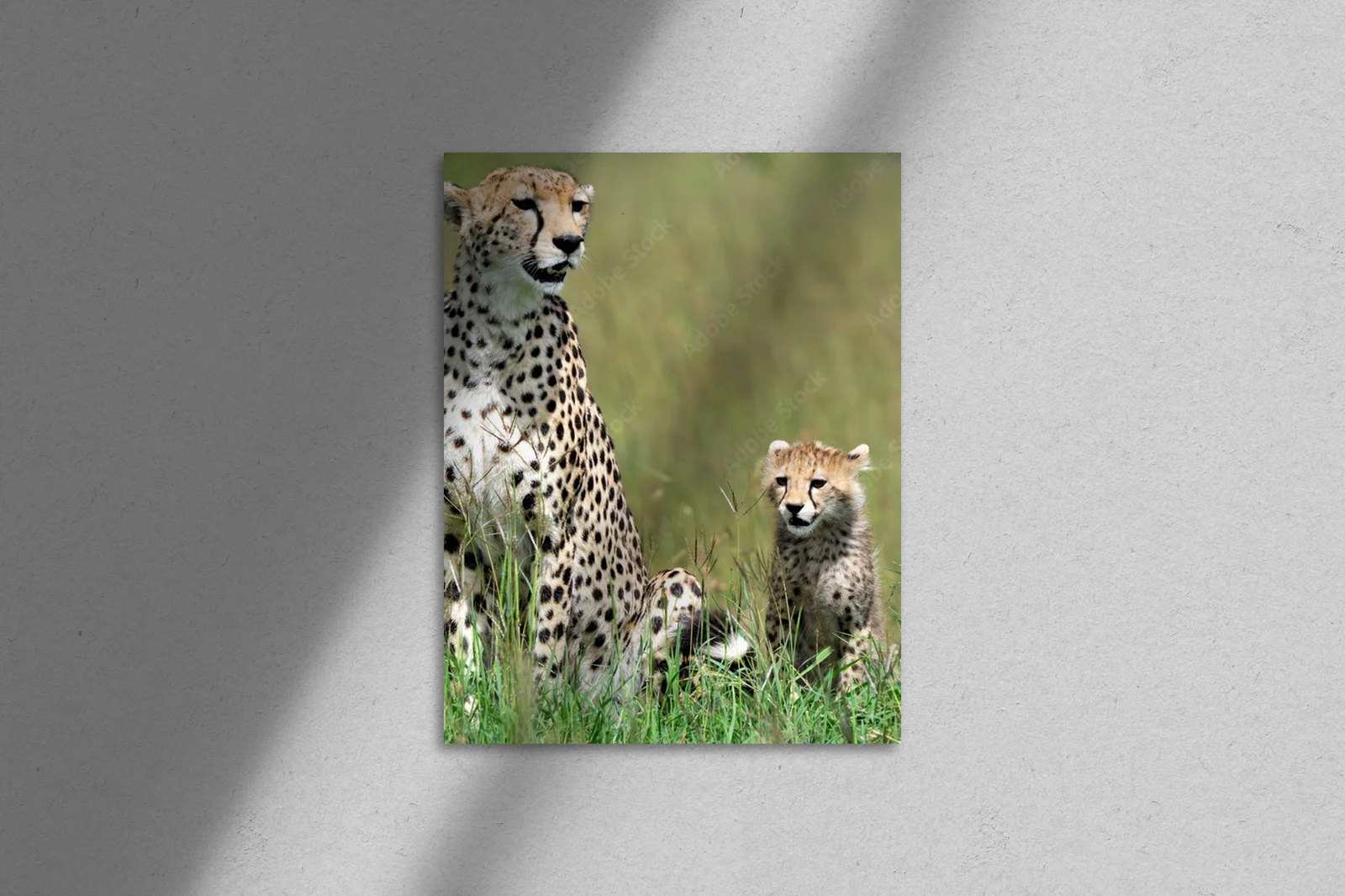 Cudowny duet geparda i jej młodego w Serengeti