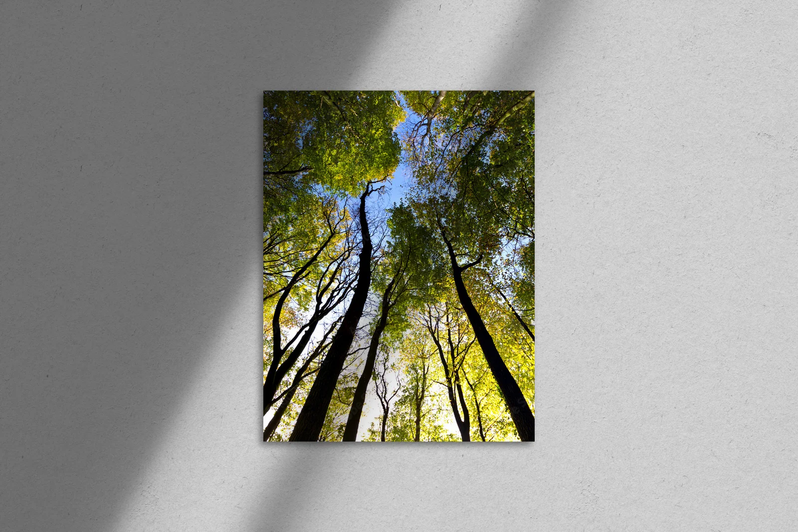 Złote jesienne refleksy w leśnej głębi