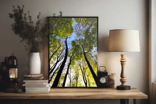 Złote jesienne refleksy w leśnej głębi