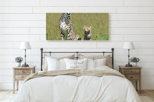 Cudowny duet geparda i jej młodego w Serengeti