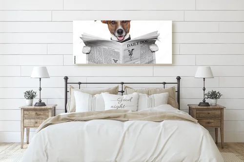 Pieskie inspiracje w białych odcieniach radości