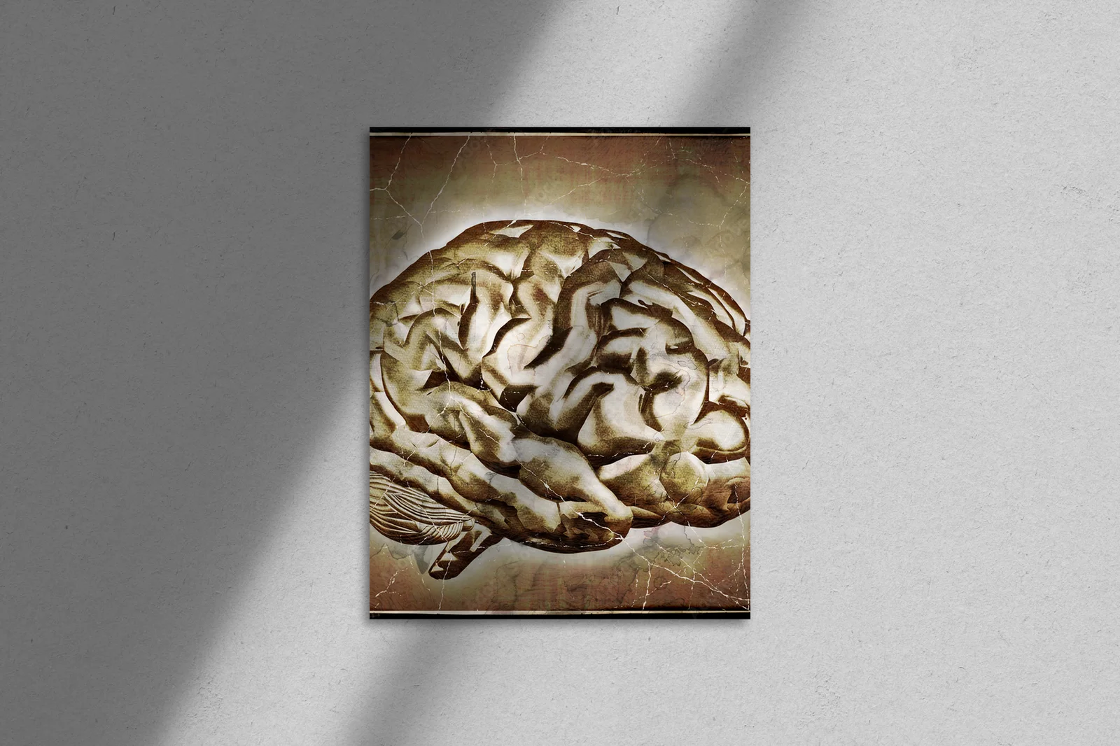 Vintage Brain - Mistyka myśli w czerni i bieli