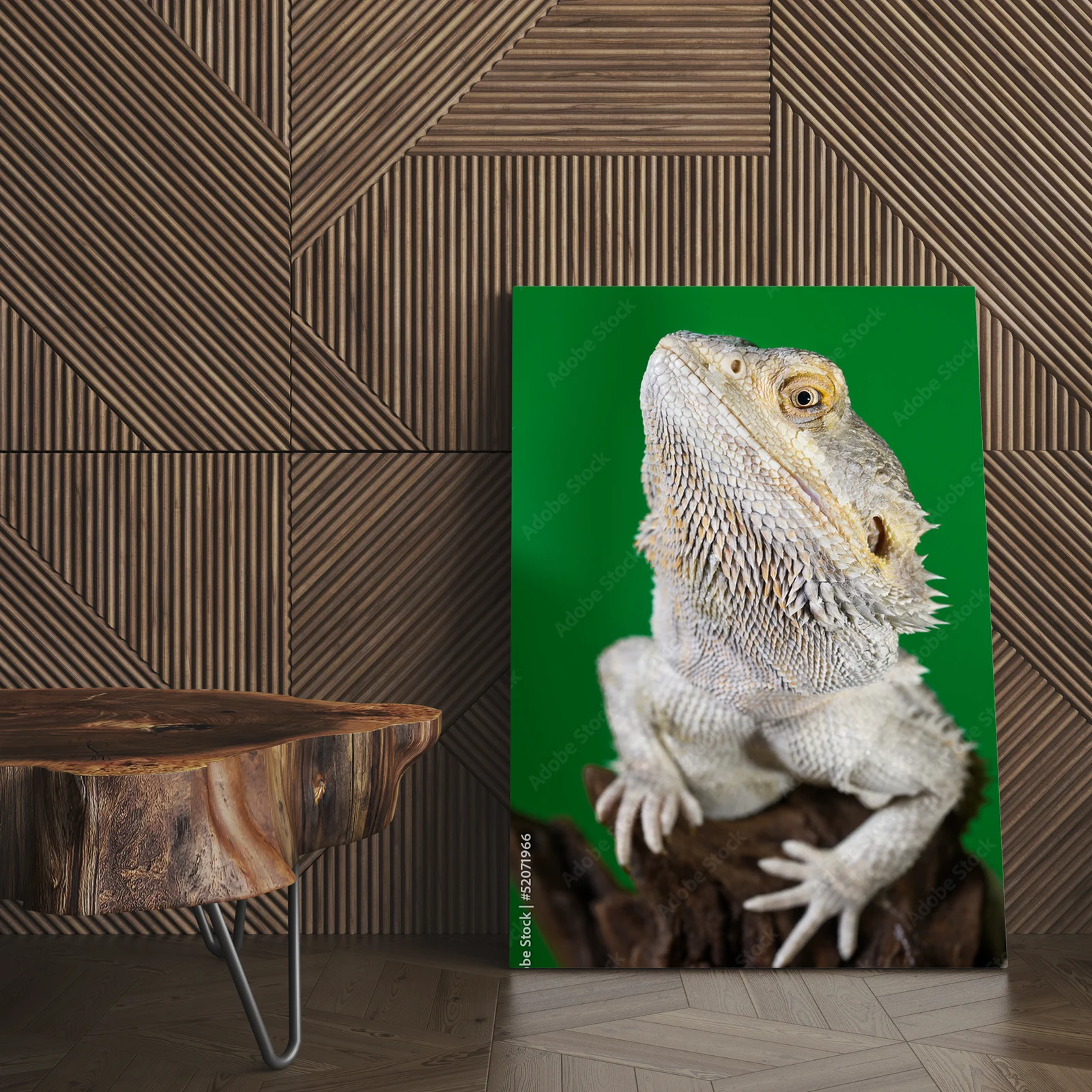 Elegancki bearded dragon na tle zieleni
