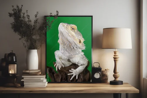 Elegancki bearded dragon na tle zieleni