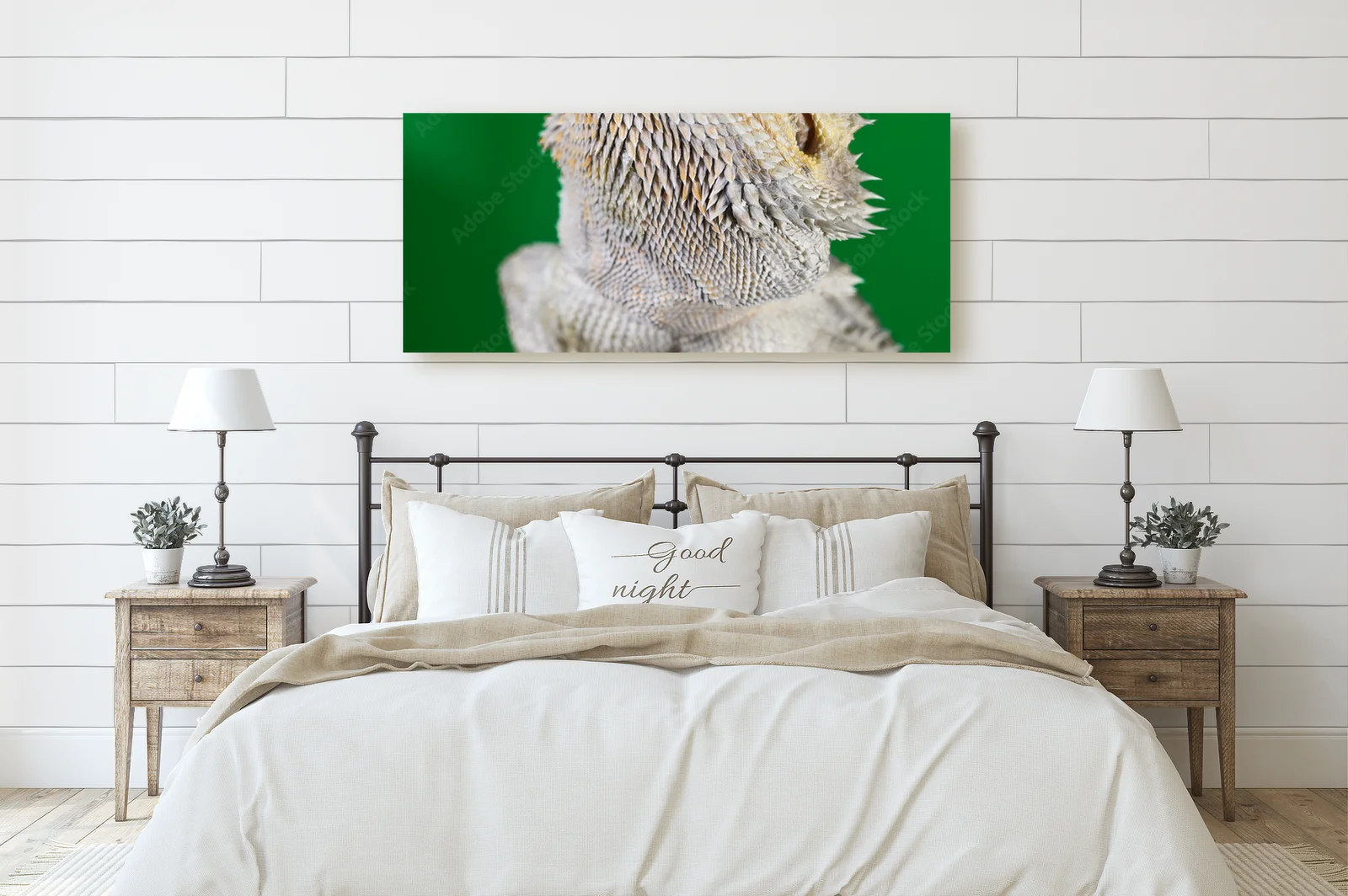 Elegancki bearded dragon na tle zieleni
