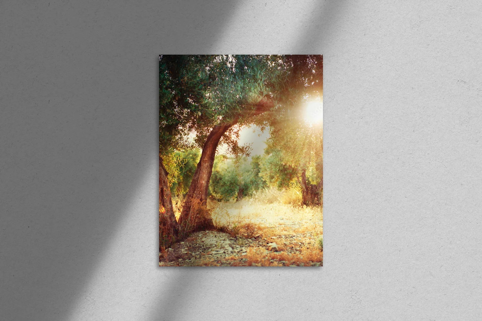 Olive Trees - Naturalna Elegancja w Pastelowych Tonach