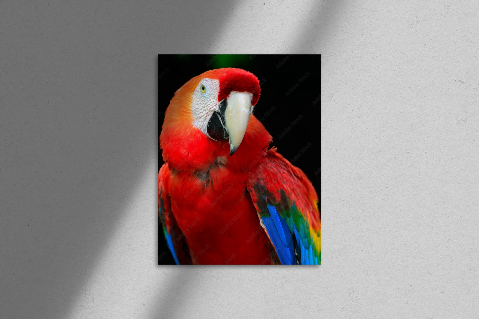 Scarlet Macaw: Kolory tropikalnej dzikości