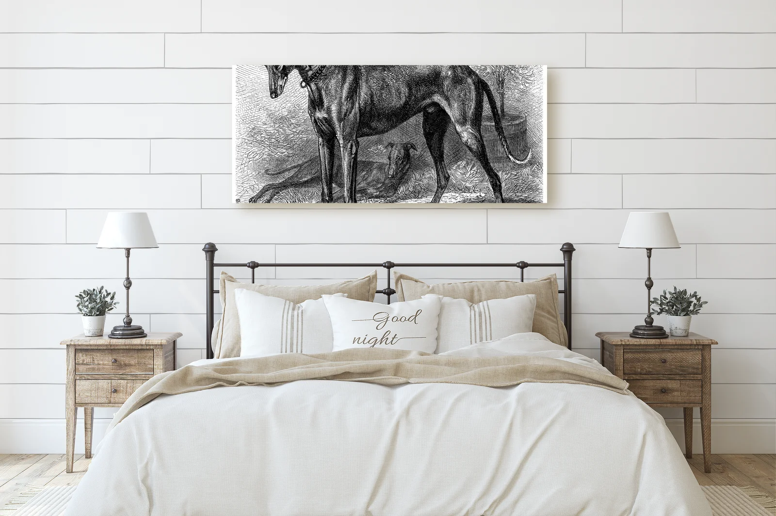 Elegancja Greyhoundów w białej harmonii