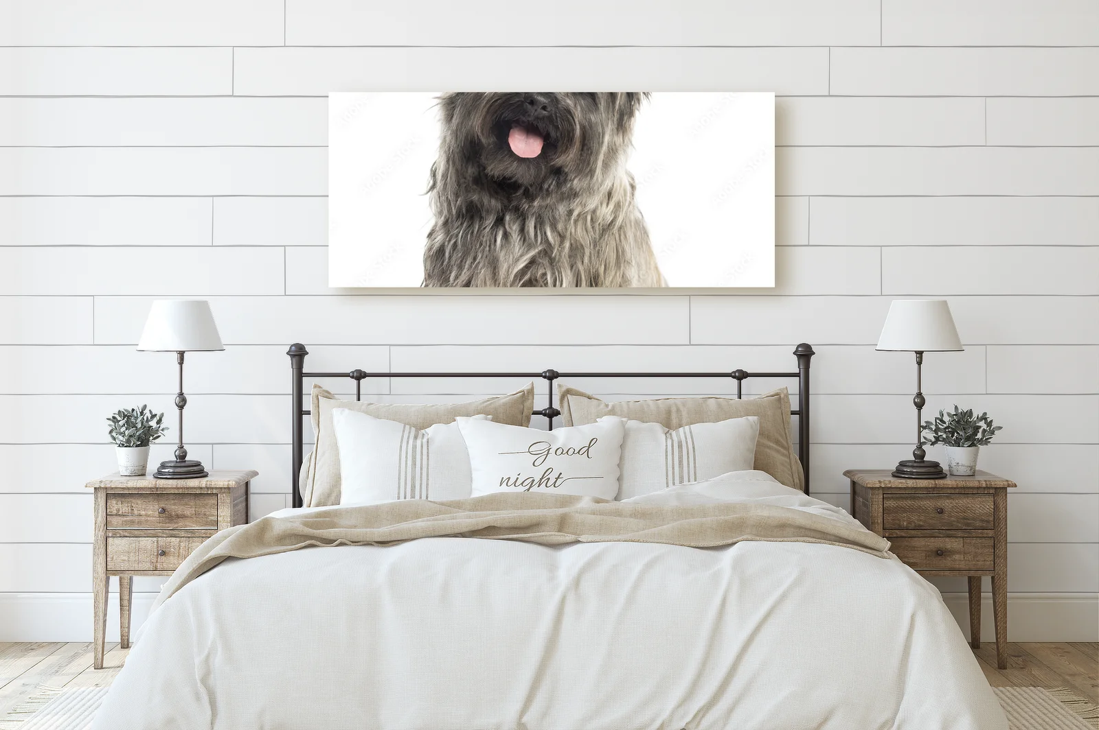 Cairn Terrier: Przyjaciel w bieli
