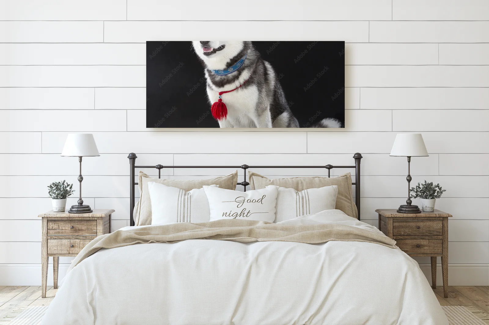 Urok syberyjskiego husky na głębokim tle