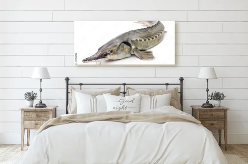 Elegancja i luksus w białych odcieniach sturgeon