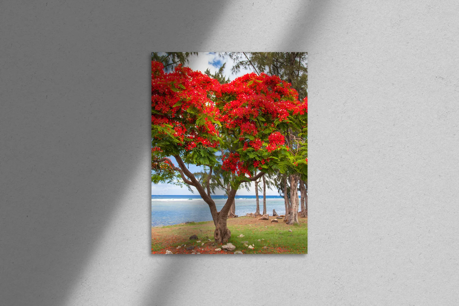 Tropikalny blask arbre flamboyant w pastelowych odcieniach