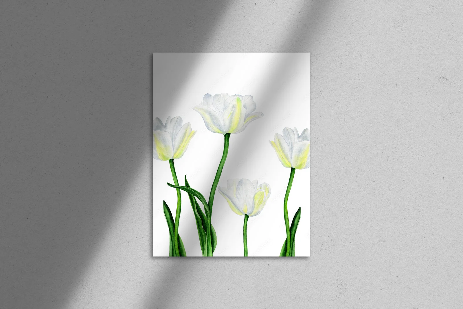 Wiosenne tulipany – elegancja bieli