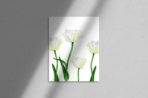Wiosenne tulipany – elegancja bieli