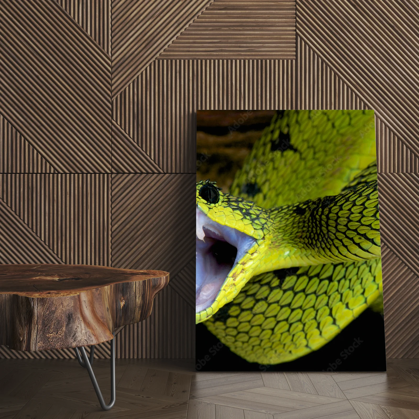 Wielka gra w tropikach: Atakujący wąż Atheris