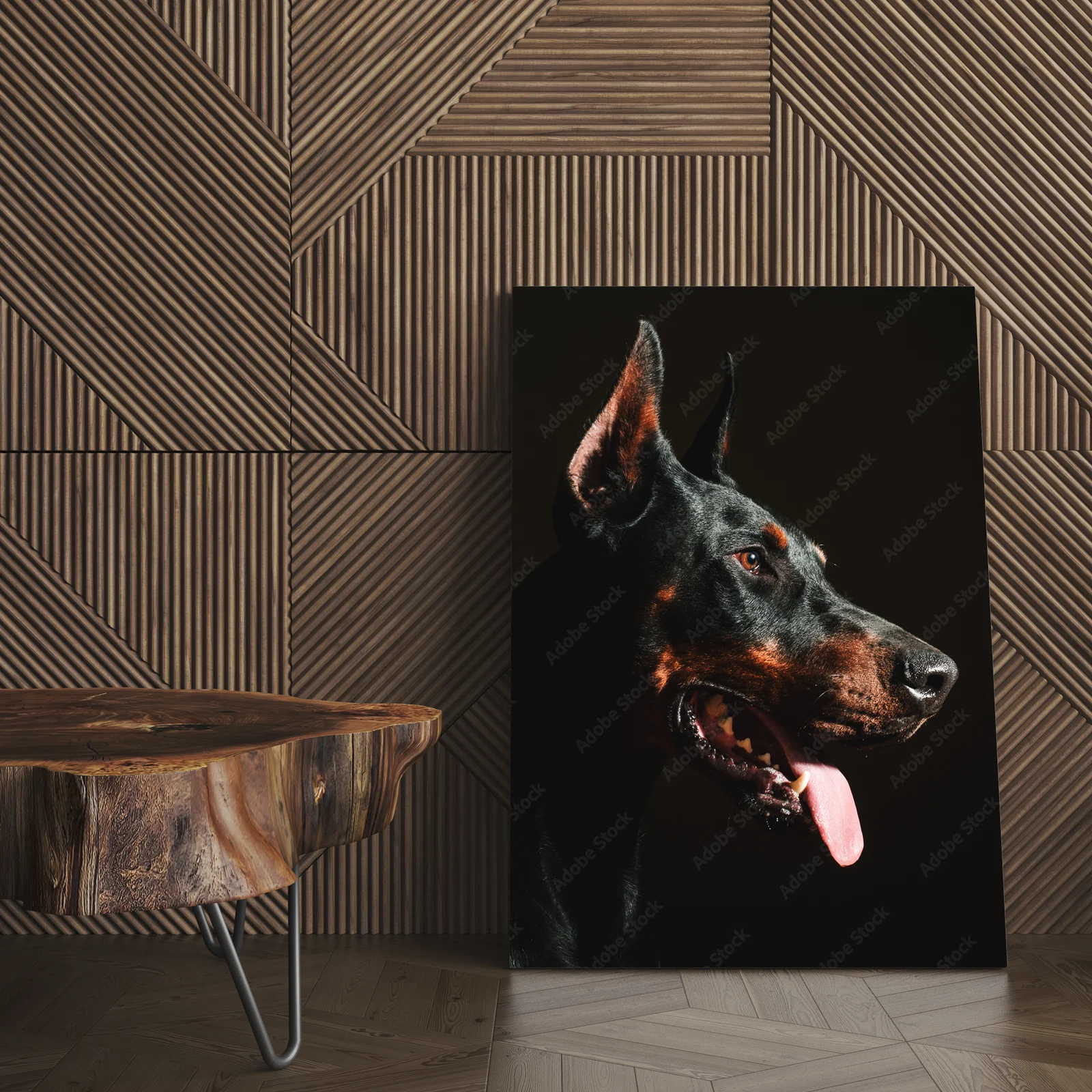 Wspaniale czarne oblicze dobermana w blasku reflektorów