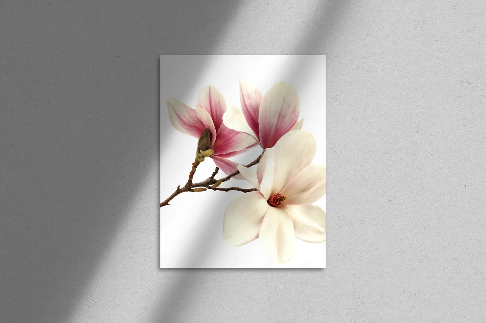 Delikatne kwiaty magnolii w białej harmonii